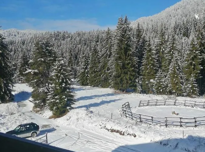 Апартамент горски дом 524 *