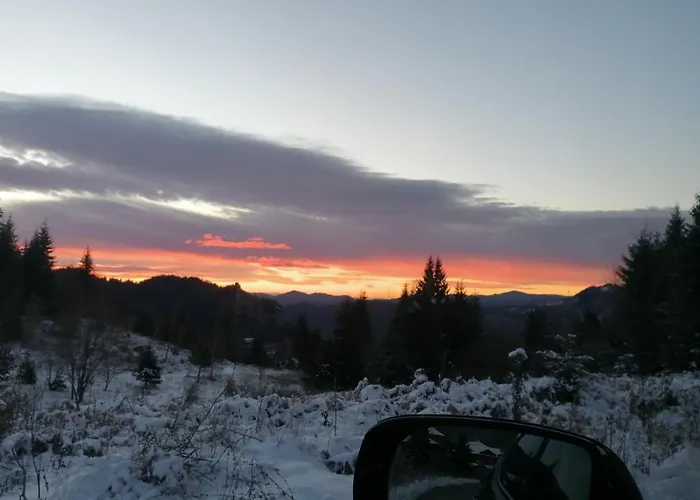 Forest 524 Apartment