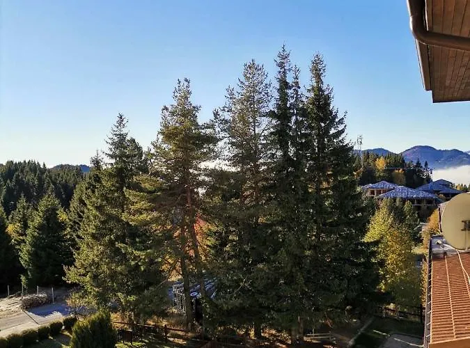 горски дом 524