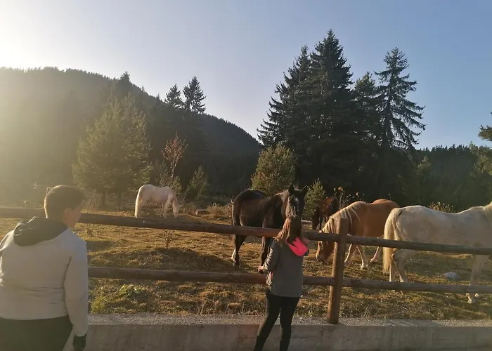 горски дом 524 * Смолян